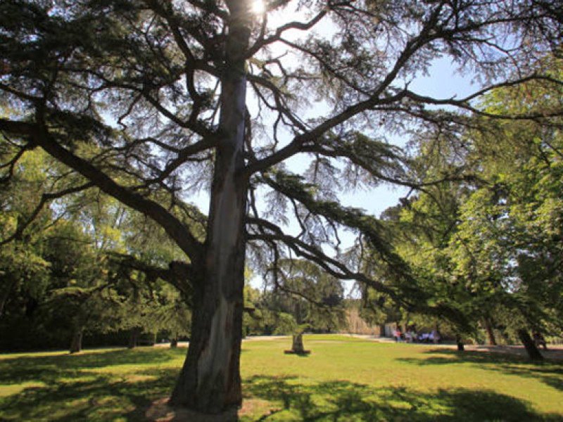 Circuito Giardino di Boboli, Giardino Bardini e Museo delle Porcellane